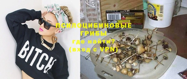 МДПВ Медвежьегорск