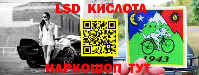 прущие грибы Будённовск