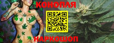 прущие грибы Будённовск