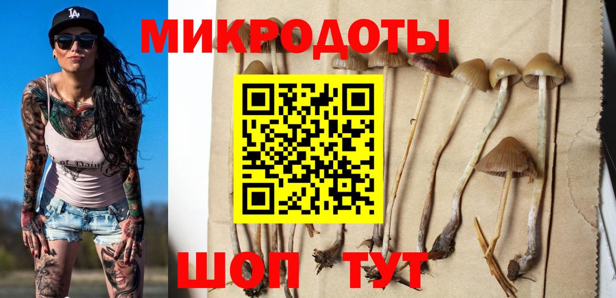 Псилоцибиновые грибы MAGIC MUSHROOMS  Донецк 