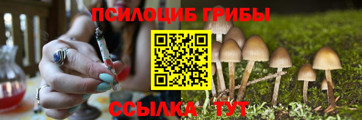 Галлюциногенные грибы прущие грибы Донецк